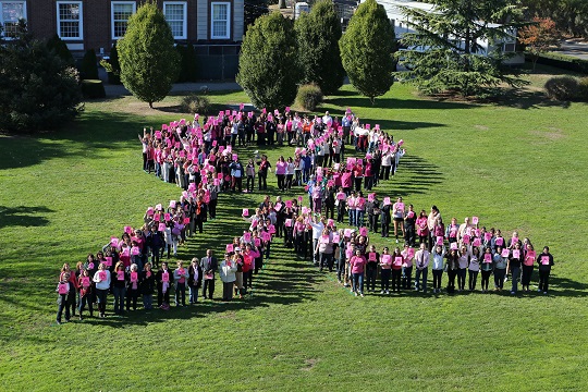Pink Human Ribbon at Adelphi University in honor of Breast Cancer Awareness Month Photo Credit:  Brian Ballweg
