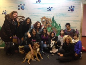 The devoted doggie rescue volunteers at Ruff House